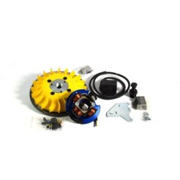 00010.22 KIT ACCENSIONE ELETTRONICA PARMAKIT AD ANTICIPO VARIABILE PIAGGIO VESPA PK 50 125 APE 50 PER AVVIAMENTO ELETTRONICO