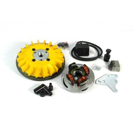 00020.22 KIT ACCENSIONE ELETTRONICA PARMAKIT AD ANTICIPO VARIABILE VESPA 125 150 200 RALLY SPRINT PE PX COSA TS GTR LML STAR 2T