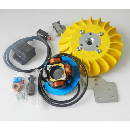 57004.22 KIT ACCENSIONE ELETTRONICA PARMAKIT PESO 1,1 KG CONO 19 ANTICIPO VARIABILE VESPA 50 125 SPECIAL ET3 PRIMAVERA PK HP