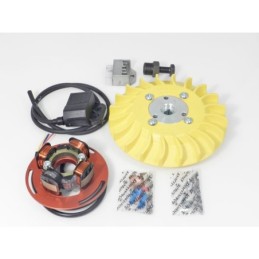 57027.22 ACCENSIONE ELETTRONICA PARMAKIT PESO 2,5KG ANTICIPO VARIABILE VESPA 125 150 200 PX COSA RALLY SPRINT TS GTR LML STAR 2T