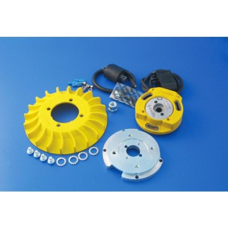 57100.22 KIT ACCENSIONE ELETTRONICA PARMAKIT ROTORE INTERNO ANTICIPO VARIABILE CONO 19 VESPA 50 125 SPECIAL ET3 PRIMAVERA PK HP