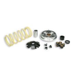 51 7081 MALOSSI VARIATORE MULTIVAR PIAGGIO SFERA, ZIP 50