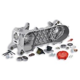 5715844 MALOSSI MHR C-one CARTER MOTORE COMPLETO PIAGGIO NRG MC3 DD 50 2T LC