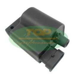 CA00008 TOP PERFORMANCE CENTRALINA ACCENSIONE PIAGGIO ZIP 50 4T 2000 2005