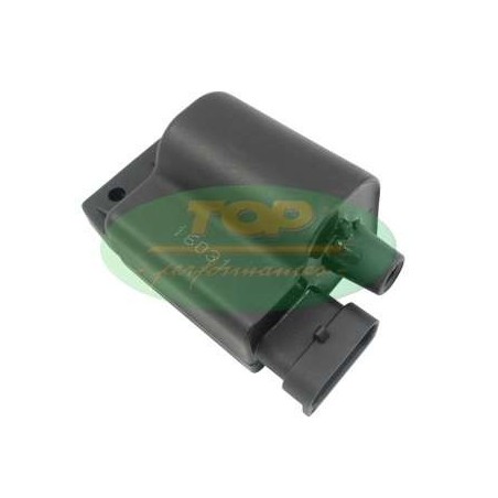 CA00008 TOP PERFORMANCE CENTRALINA ACCENSIONE PIAGGIO ZIP 50 4T 2000 2005