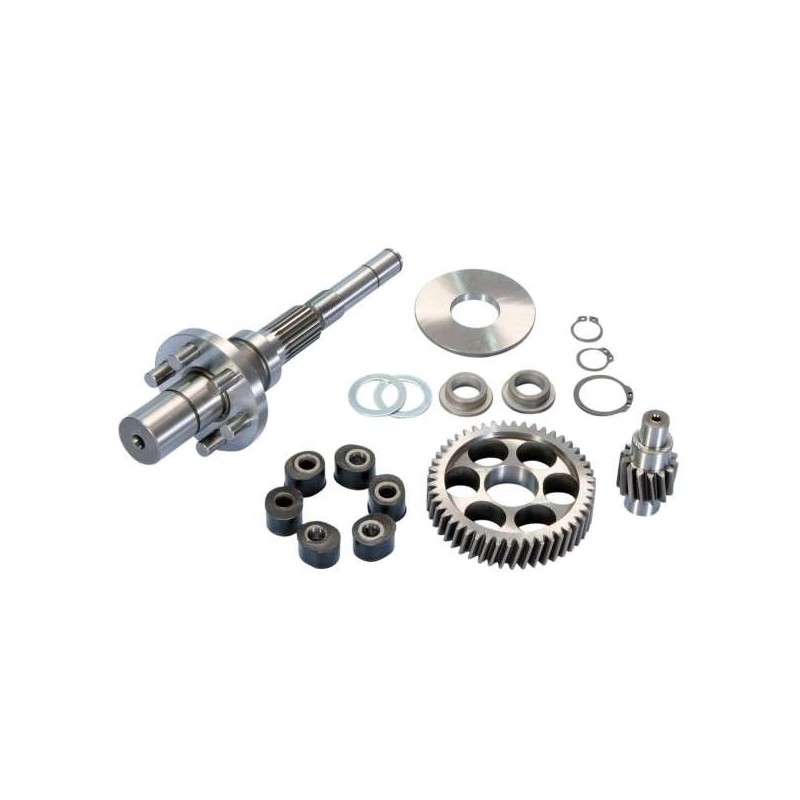 202.1409 KIT INGRANAGGI RAPPORTI POLINI PRIMARI CON PARASTRAPPI Z 14/48 PIAGGIO NRG POWER MC3 PUREJET 50