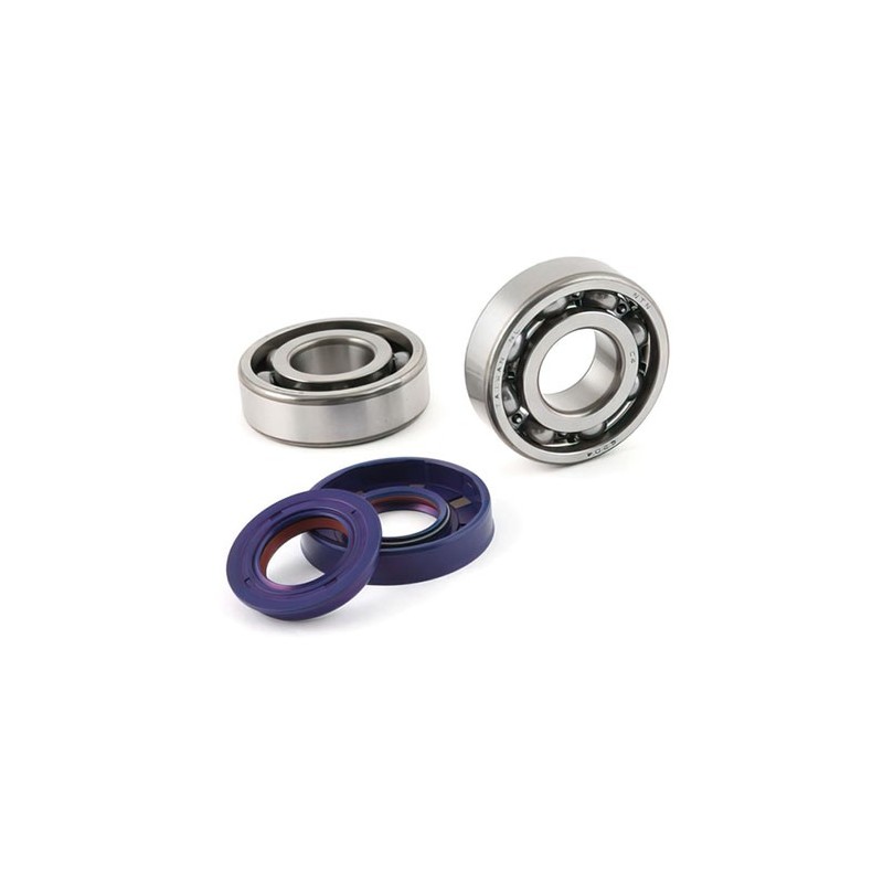 282.0002 KIT REVISIONE ALBERO MOTORE CUSCINETTI + PARAOLI POLINI APRILIA SCARABEO 50 / MBK BOOSTER 50