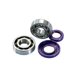 282.0005 KIT REVISIONE ALBERO MOTORE CUSCINETTI + PARAOLI POLINI CONO 19 VESPA SPECIAL ET3 PRIMAVERA PK S XL HP APE