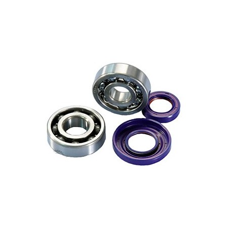 282.0005 KIT REVISIONE ALBERO MOTORE CUSCINETTI + PARAOLI POLINI CONO 19 VESPA SPECIAL ET3 PRIMAVERA PK S XL HP APE