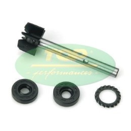 AA00811 TOP PERFORMANCE KIT REVISIONE POMPA H2O APRIL/LEONARDO 125/150