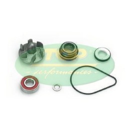 AA00812 TOP PERFORMANCE KIT REVISIONE POMPA H20 HONDA PANTHEON 125/150 2T