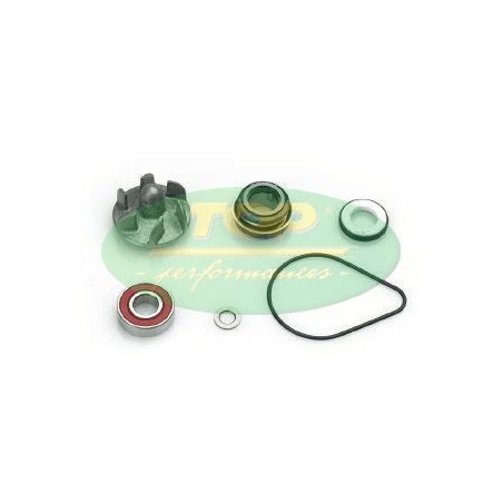 AA00812 TOP PERFORMANCE KIT REVISIONE POMPA H20 HONDA PANTHEON 125/150 2T