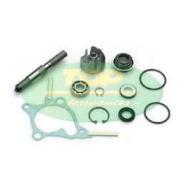 AA00814 TOP PERFORMANCE KIT REVISIONE POMPA H2O HONDA FORESIGHT 250 4T