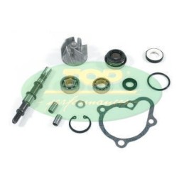 AA00816 TOP PERFORMANCE KIT REVISIONE POMPA H2O KYMCO 250/300cc 4T