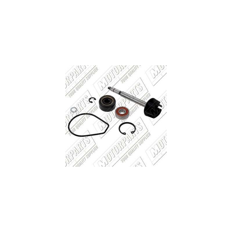 AA00818 TOP PERFORMANCE KIT REVISIONE POMPA H2O YAMAHA MAJESTY / X MAX 400cc