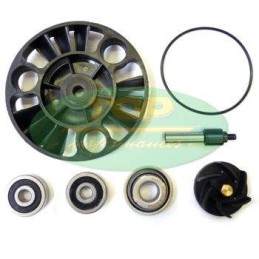 AA00826 TOP PERFORMANCE KIT REVISIONE POMPA H2O PIAGGIO/APRILIA 125/200 EURO3