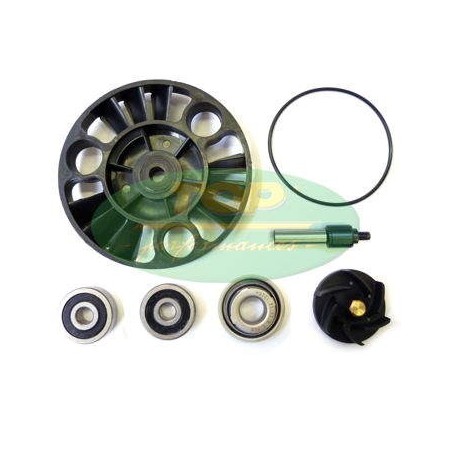 AA00826 TOP PERFORMANCE KIT REVISIONE POMPA H2O PIAGGIO/APRILIA 125/200 EURO3