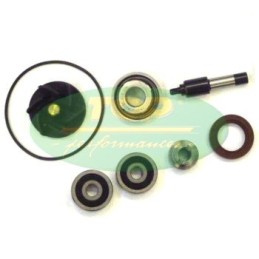 AA00828 TOP PERFORMANCE KIT REVISIONE POMPA H2O PIAGGIO 250/300cc