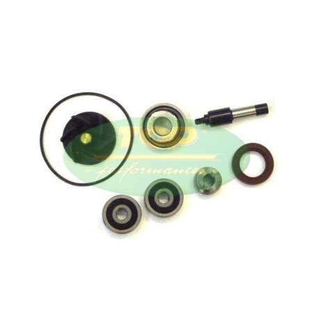 AA00828 TOP PERFORMANCE KIT REVISIONE POMPA H2O PIAGGIO 250/300cc