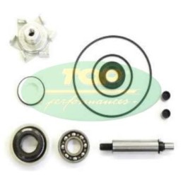 AA00834 TOP PERFORMANCE KIT REVISIONE POMPA H2O HONDA PCX 125cc