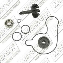 AA00844 TOP PERFORMANCE KIT REVISIONE POMPA H2O YAMAHA X MAX 300