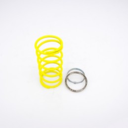 10412021 PINASCO Spring Sliders MOLLA DI CONTRASTO + SLIDER MAXISCOOTER Aprilia Leonardo Scarabeo 125 150